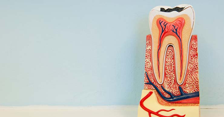 The 8-hour sleep myth: How I learned that everything I knew about sleep was wrong